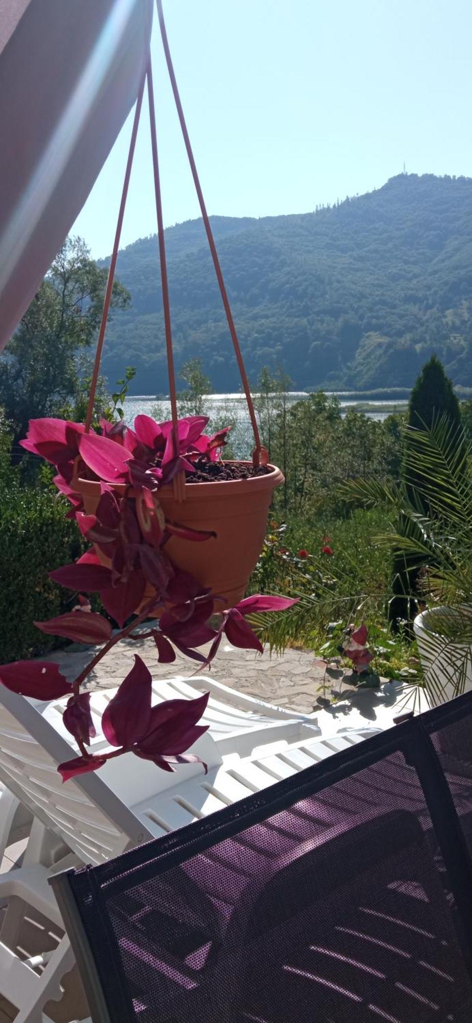 Villa Casa Irina Piatra Neamţ Exterior foto